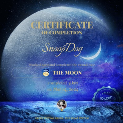 EC Squad SnoopDog post image