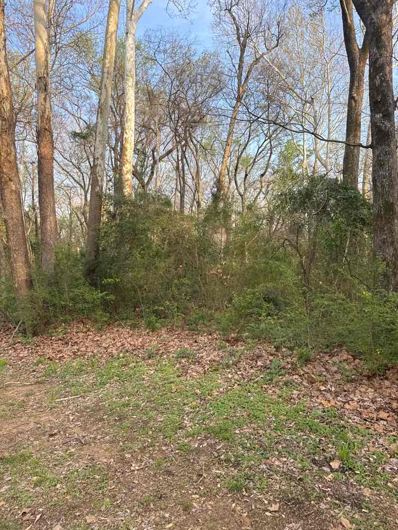 walking near me in Rose Rudman Park in spring