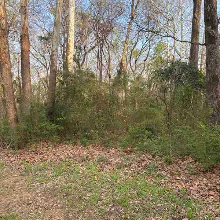 Tricia🐑🦈 post 1