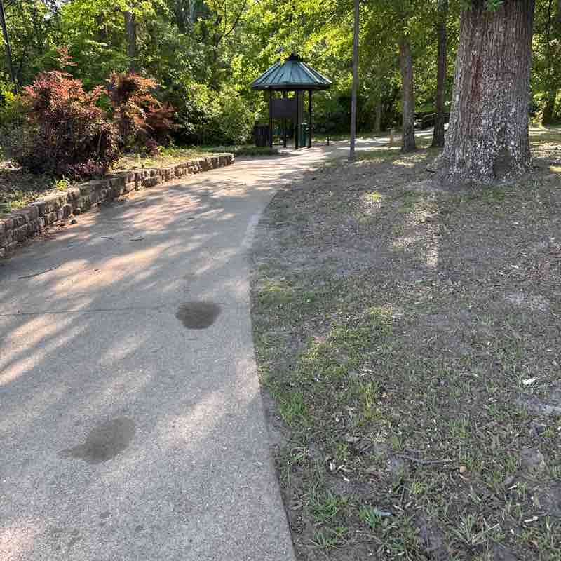 Tricia🐑🦈 post 1