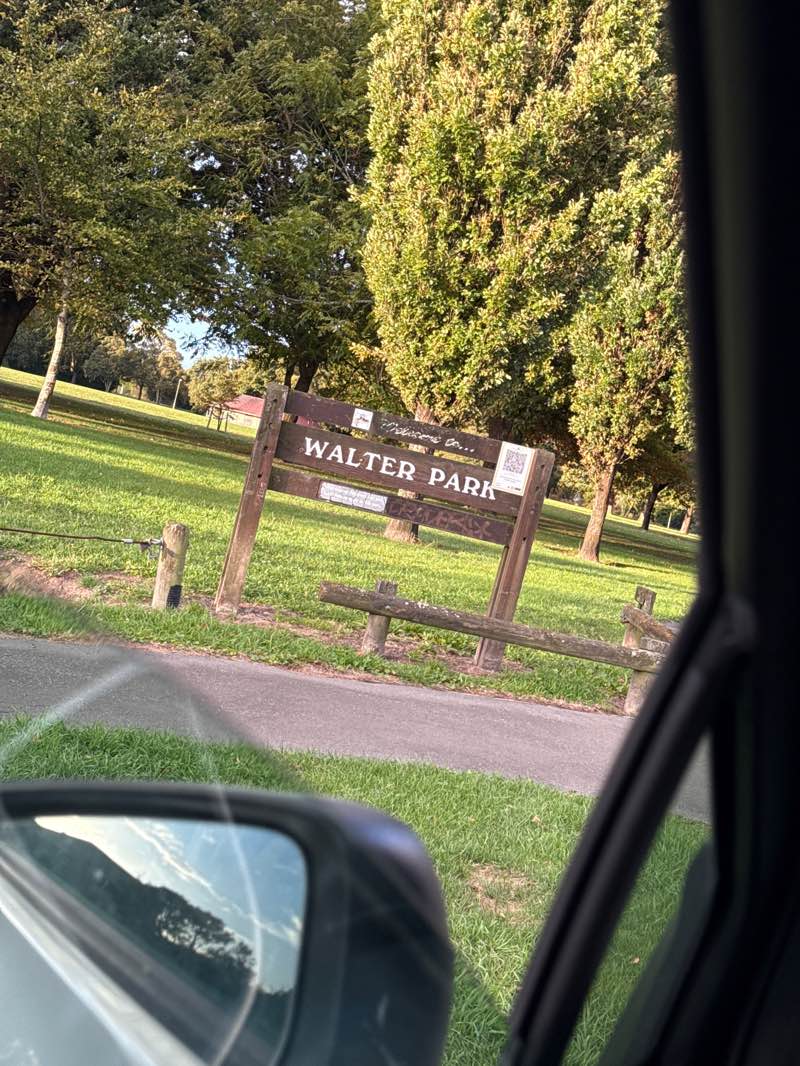 walking near me in Walter Park in autumn