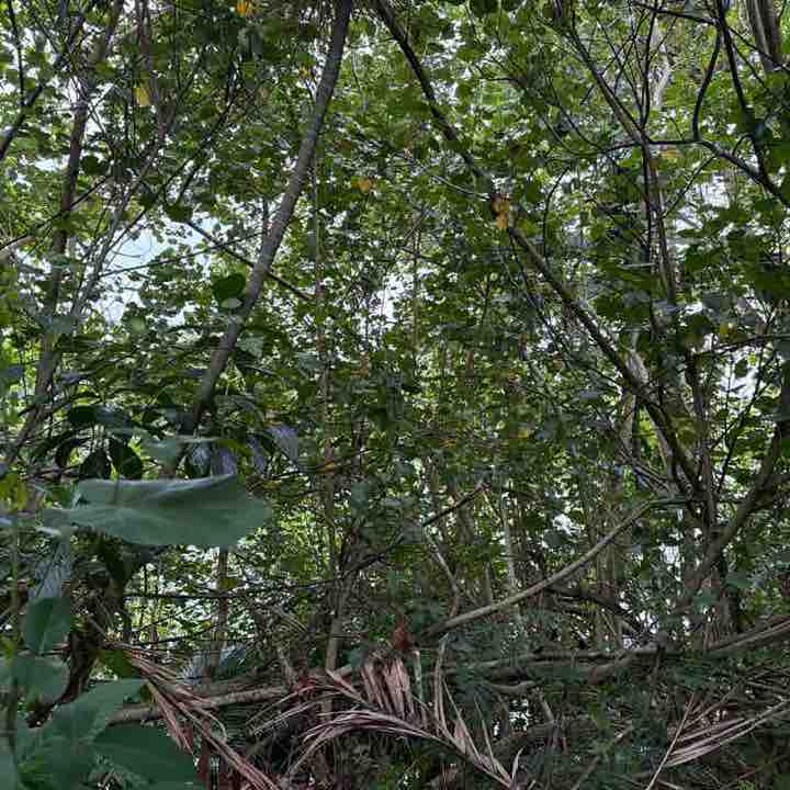 Sachin Ganjapurkar post 3