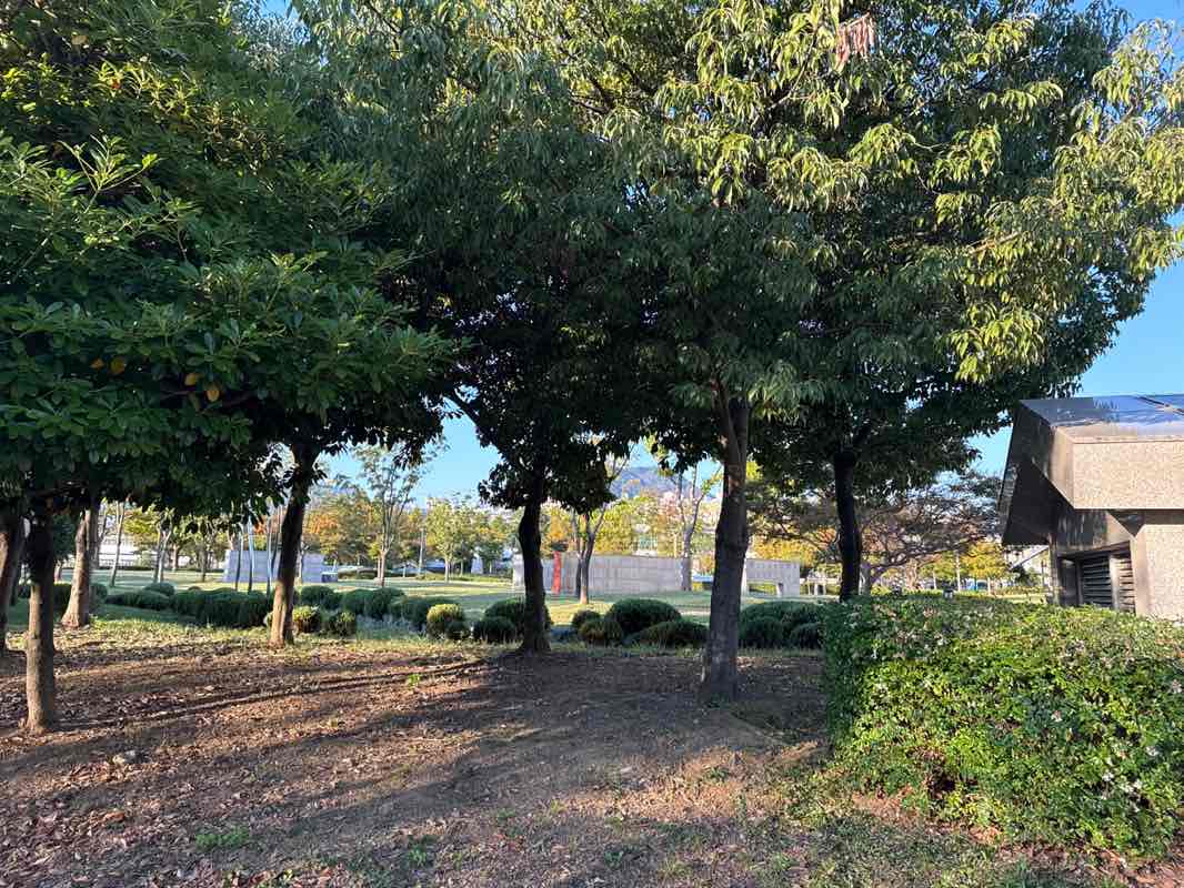 walking near me in 수영 환경공원 in autumn