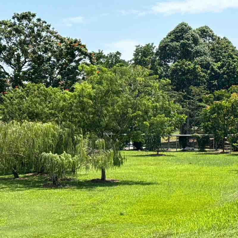 Sachin Ganjapurkar post 2