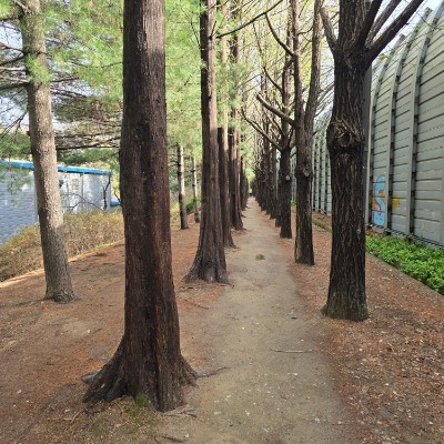 이대🎀 남매맘 post image