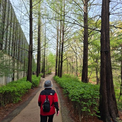 이대🎀 남매맘 post image