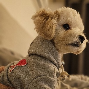 아자🚶‍♀️ profile