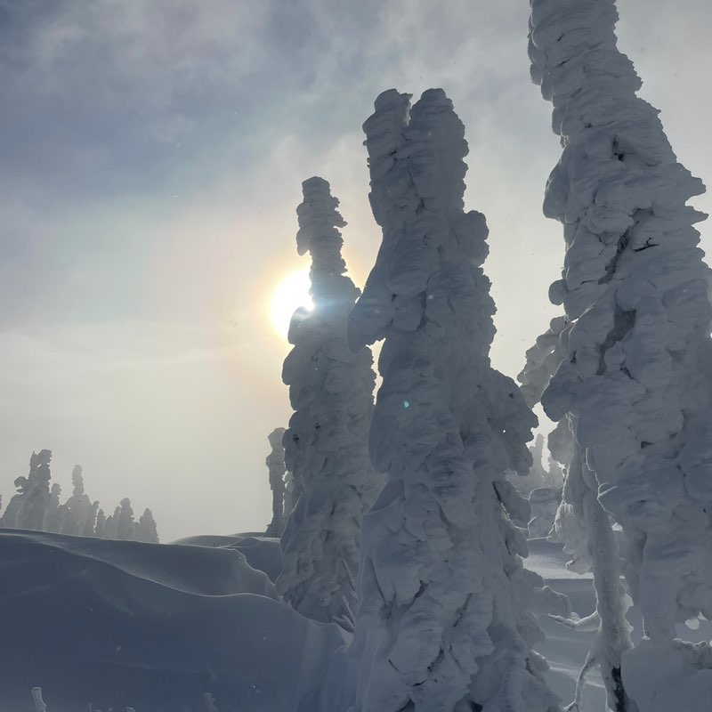 Грамотник post 1