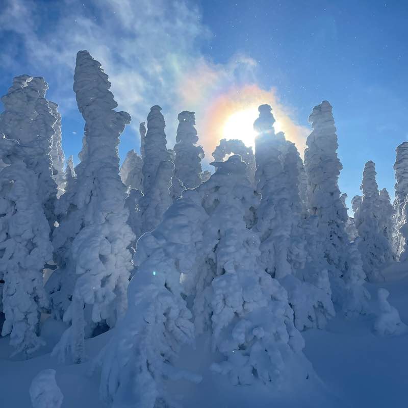 Грамотник post 2