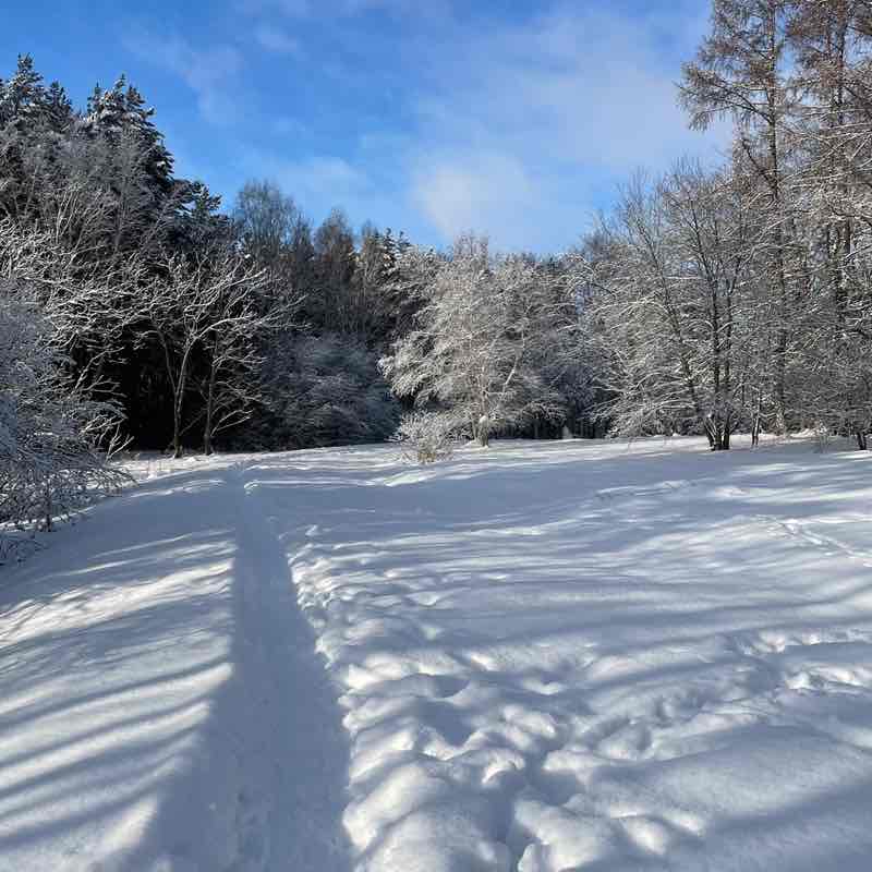 Грамотник post 1