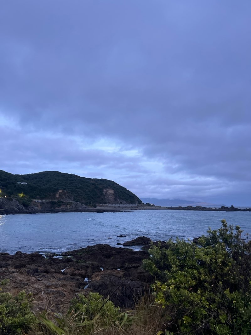 walking near me in Taputeranga Marine Reserve in summer
