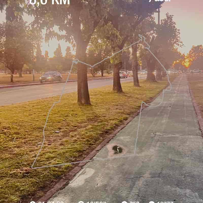 juan carlos Torres post 1