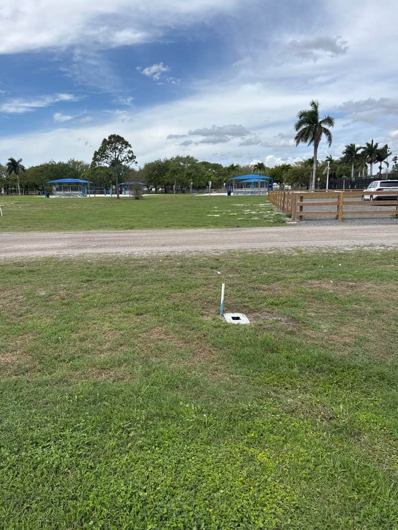 walking near me in Greenbriar Park in spring