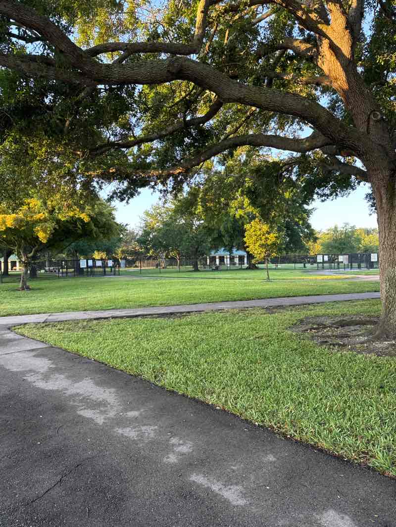 walking near me in Greenbriar Park in spring