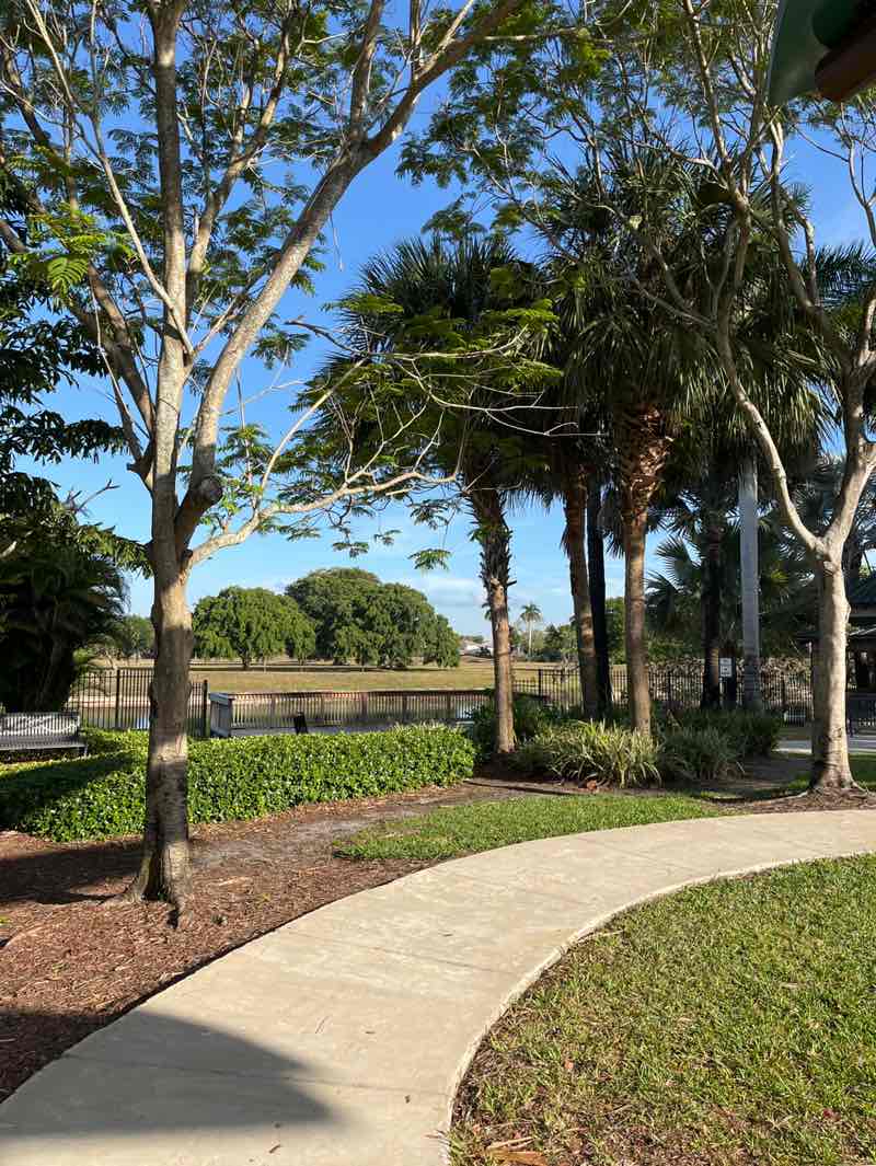 walking near me in Ilene Lieberman Park in spring