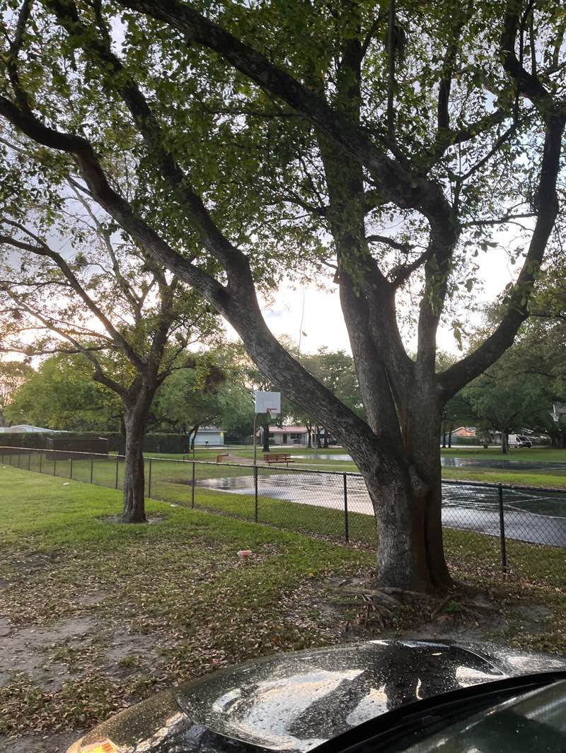 walking near me in Park East Park in spring