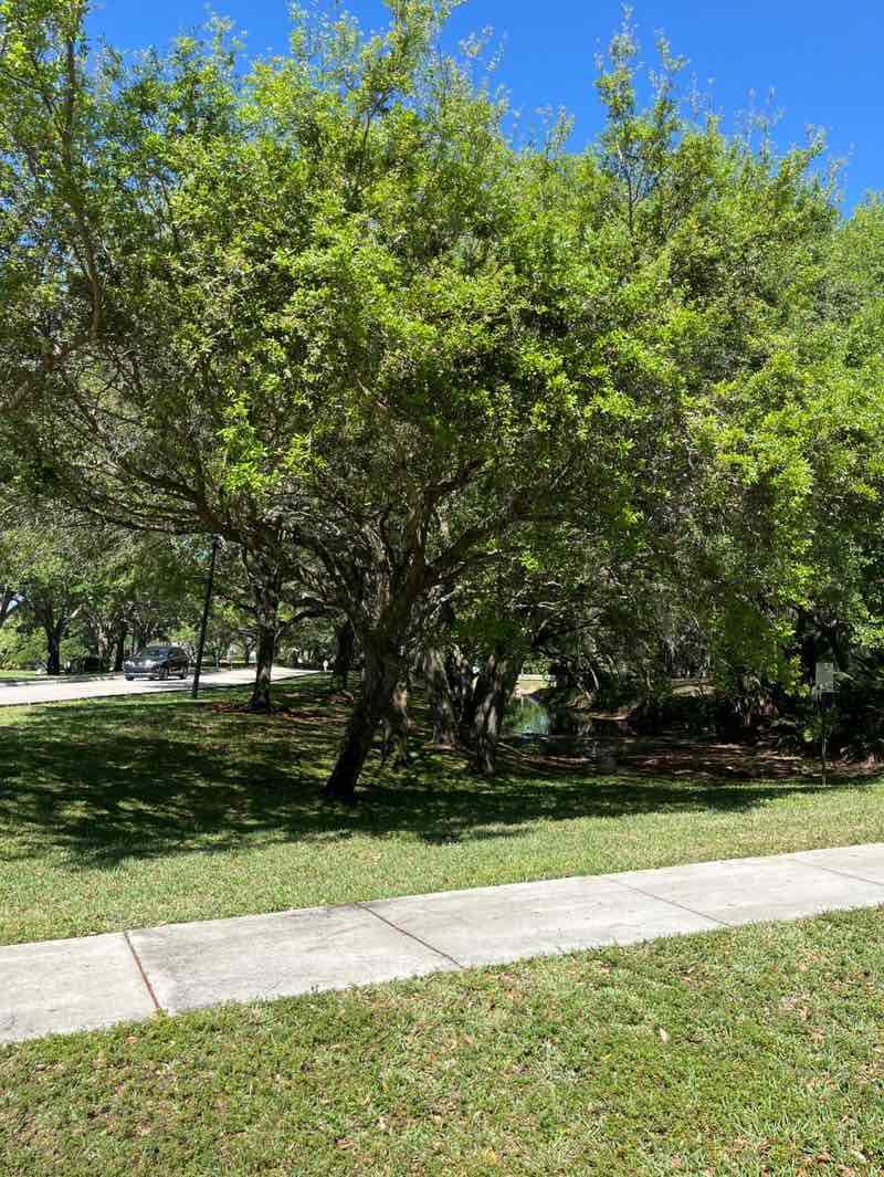 walking near me in west ridge open space nature preserve in spring