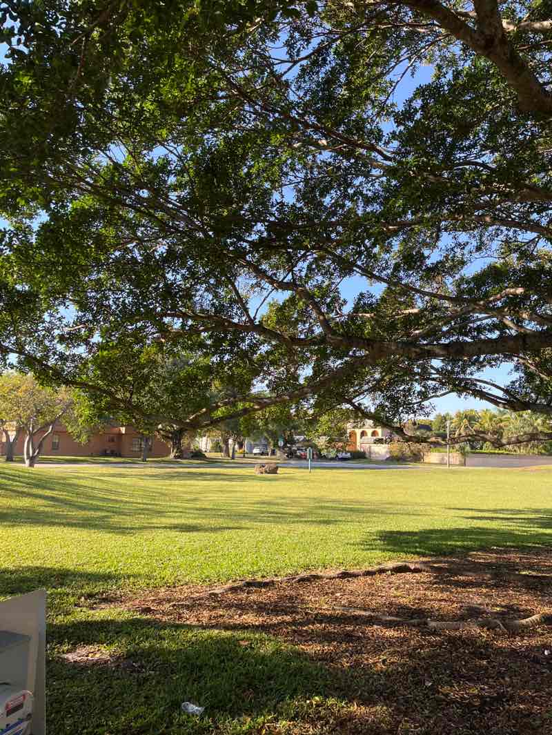 walking near me in Marcano Estates Park in spring