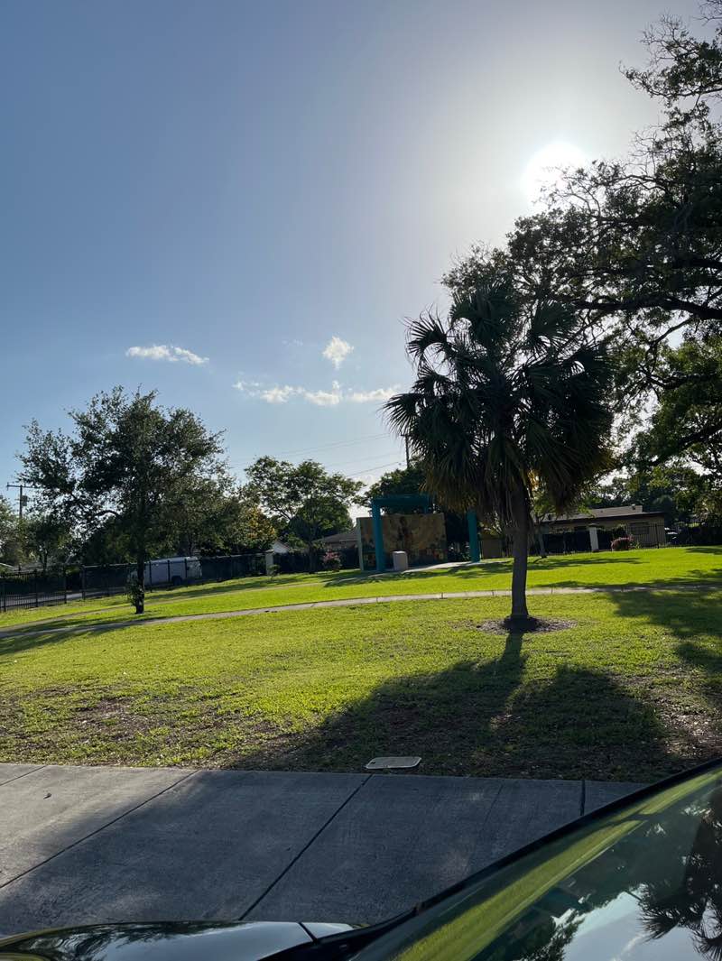 walking near me in James D. Bradley Junior Park in spring