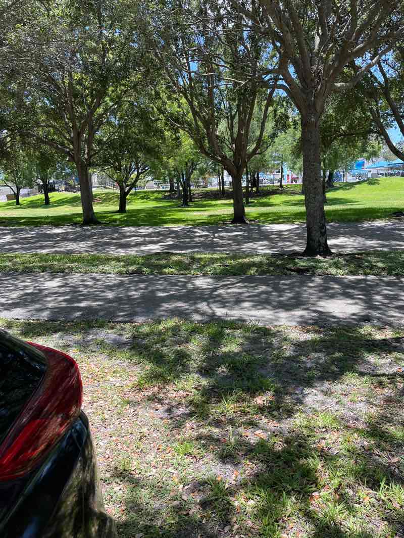 walking near me in Plantation Central Park in summer