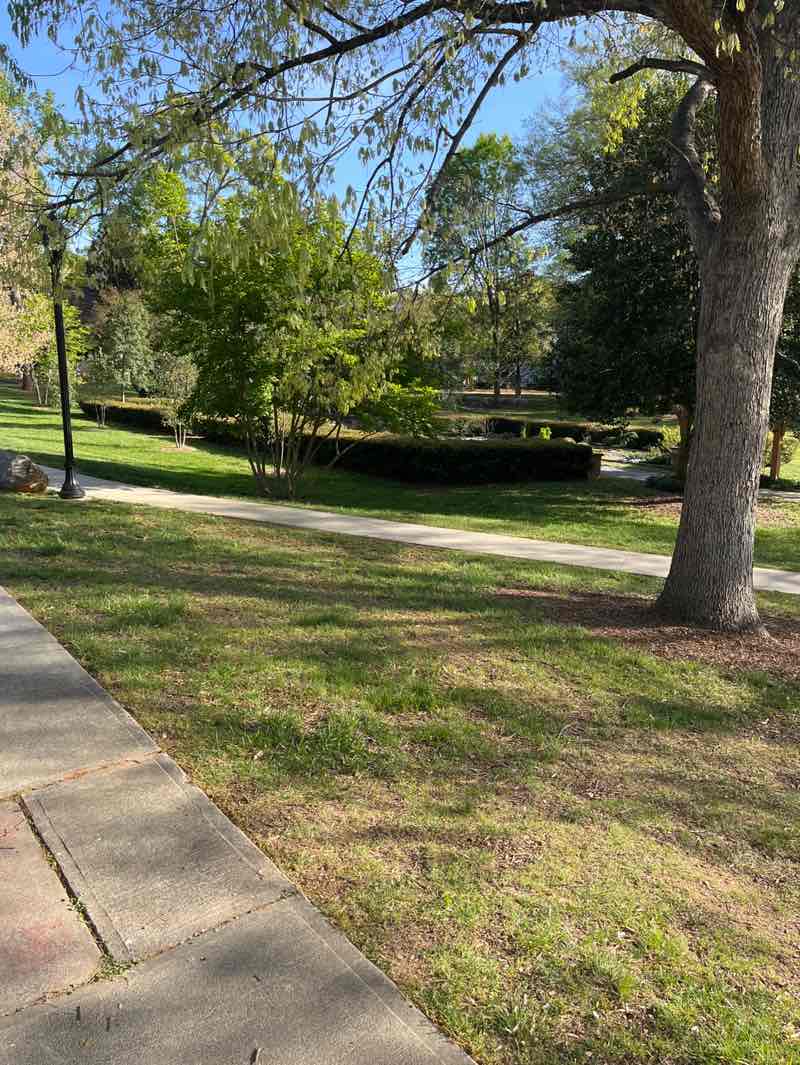 walking near me in Independence Park in spring