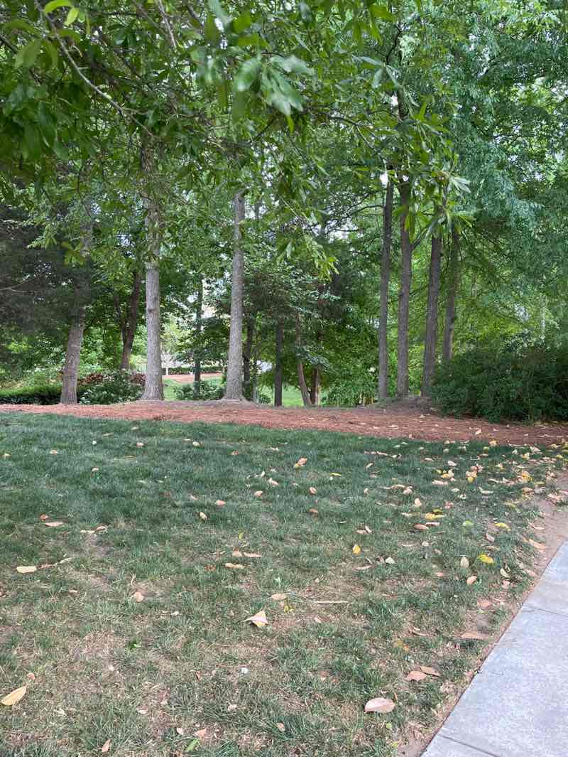 walking near me in Patrick Park in spring