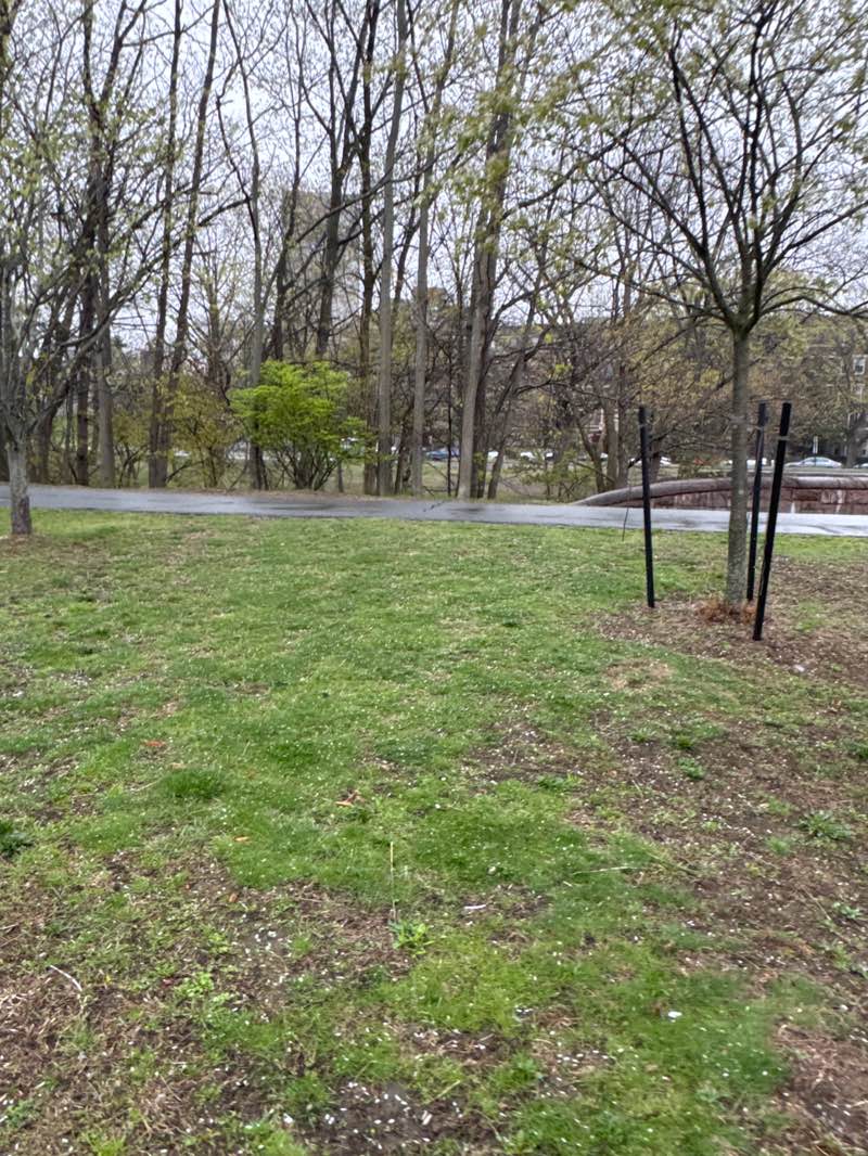 walking near me in Brookline Avenue Playground in spring
