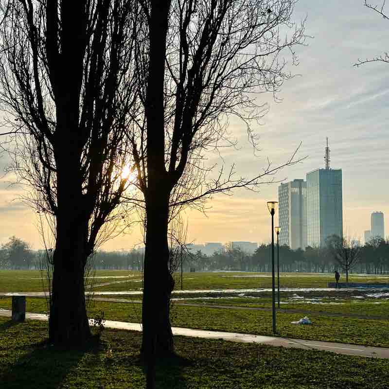 Aleksandar Gavrilović post 1