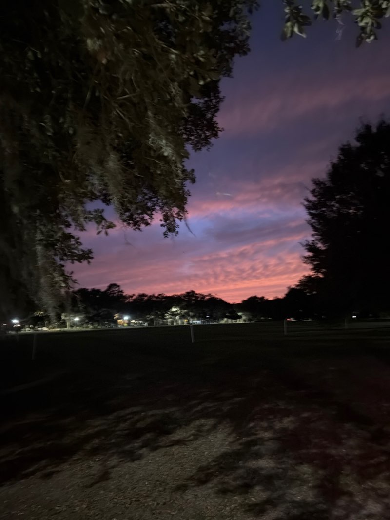 walking near me in Daffin Park in autumn