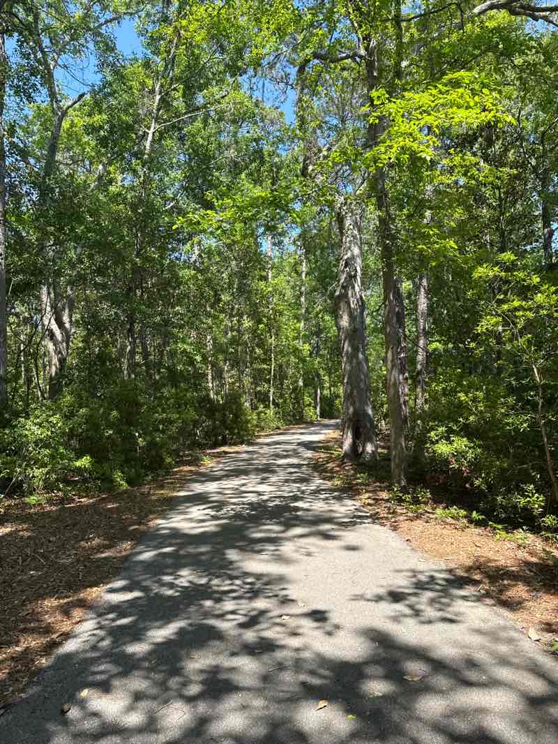 walking near me in Whitemarsh Preserve aka Demere Tract in spring