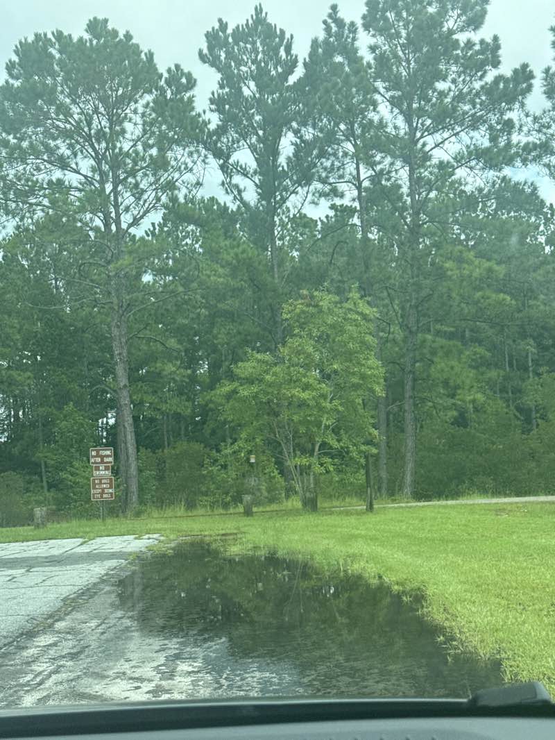 walking near me in L. Scott Stell Park in autumn