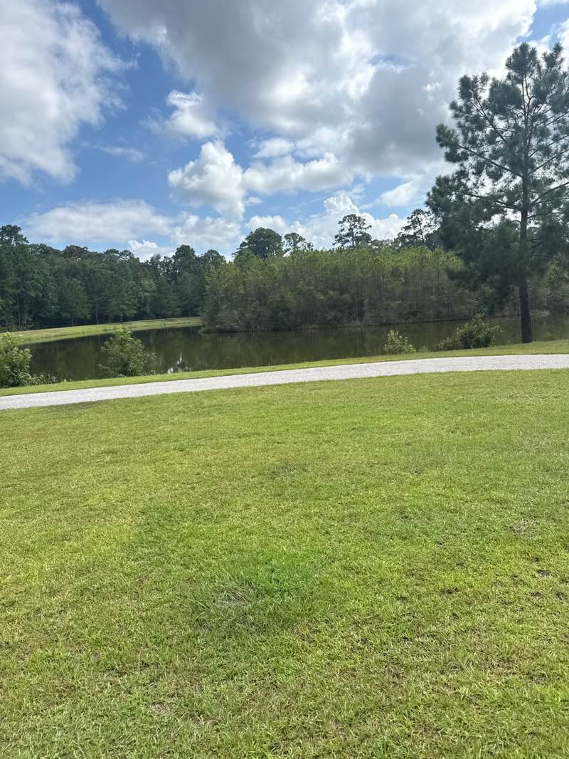 walking near me in Burton Wells Dog Park in autumn