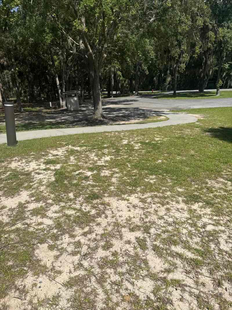 walking near me in Skidaway Island State Park in autumn