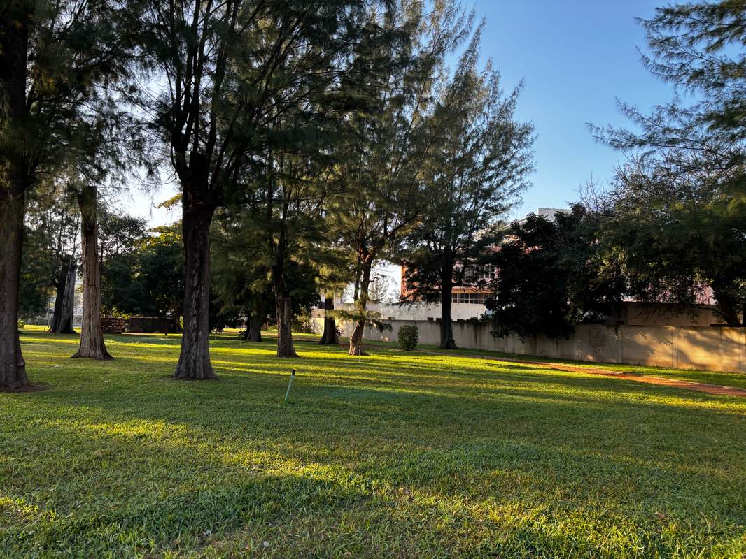 walking near me in Jardim dos Professores in summer