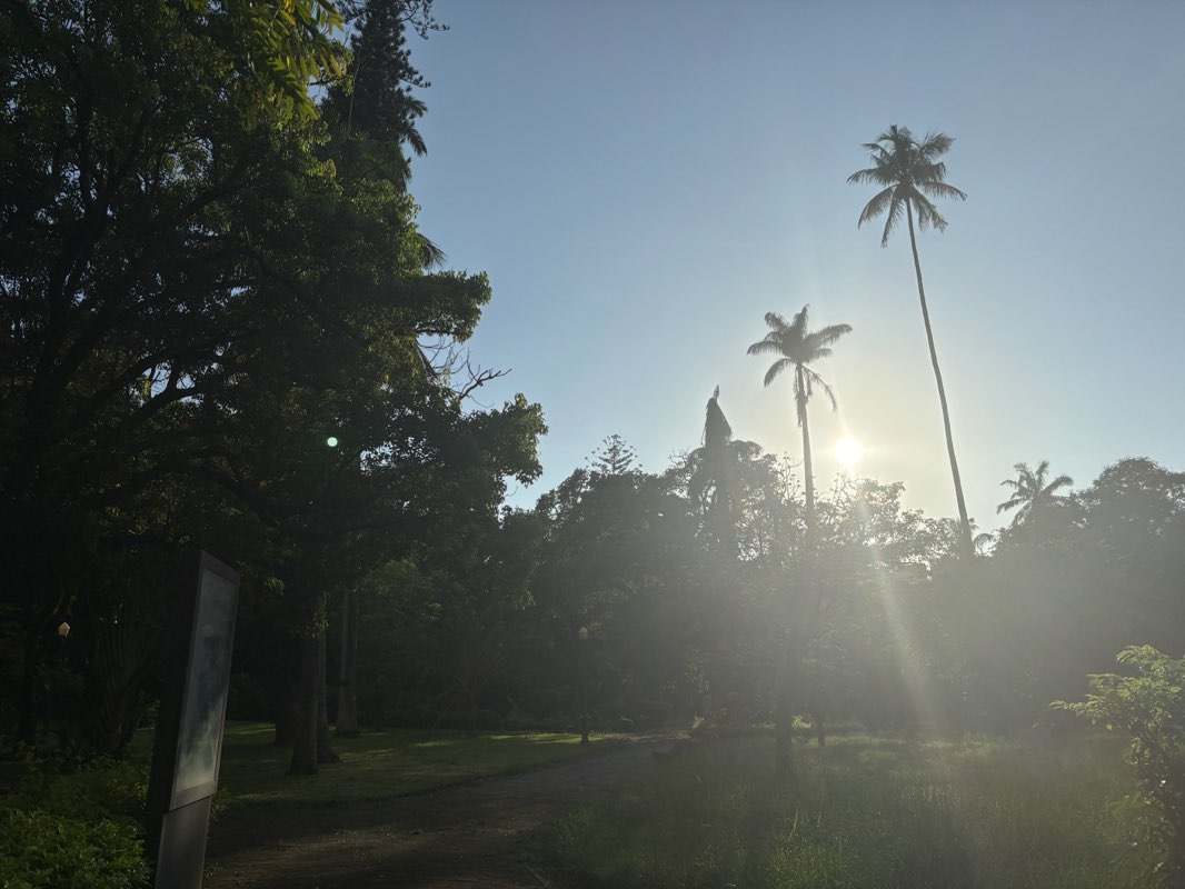 walking near me in Jardim Tunduru in summer
