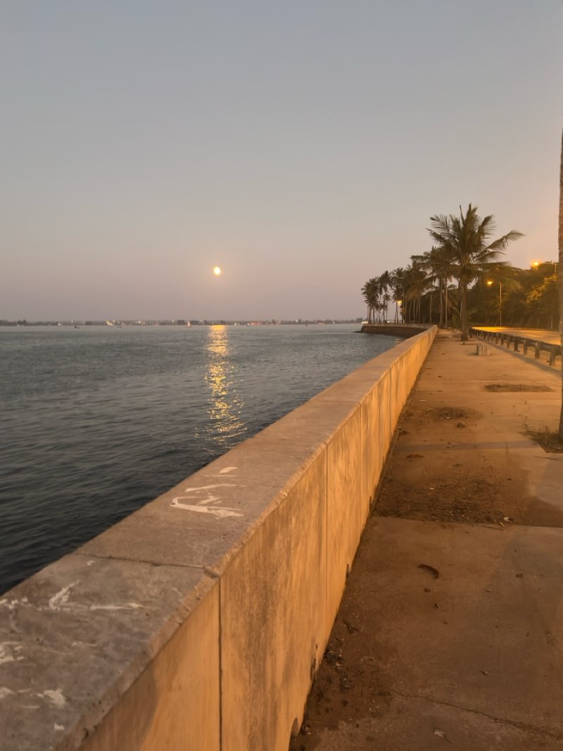 walking near me in Parque dos Continuadores in spring