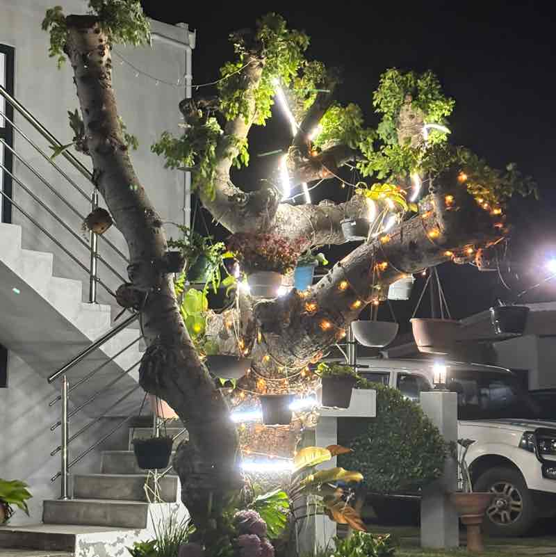 100,000 Steps! Sulahidine post image