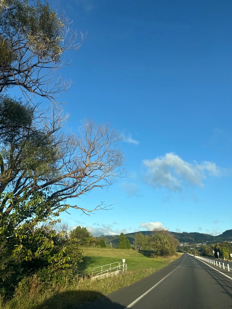 walking near me in McLeod Park in autumn