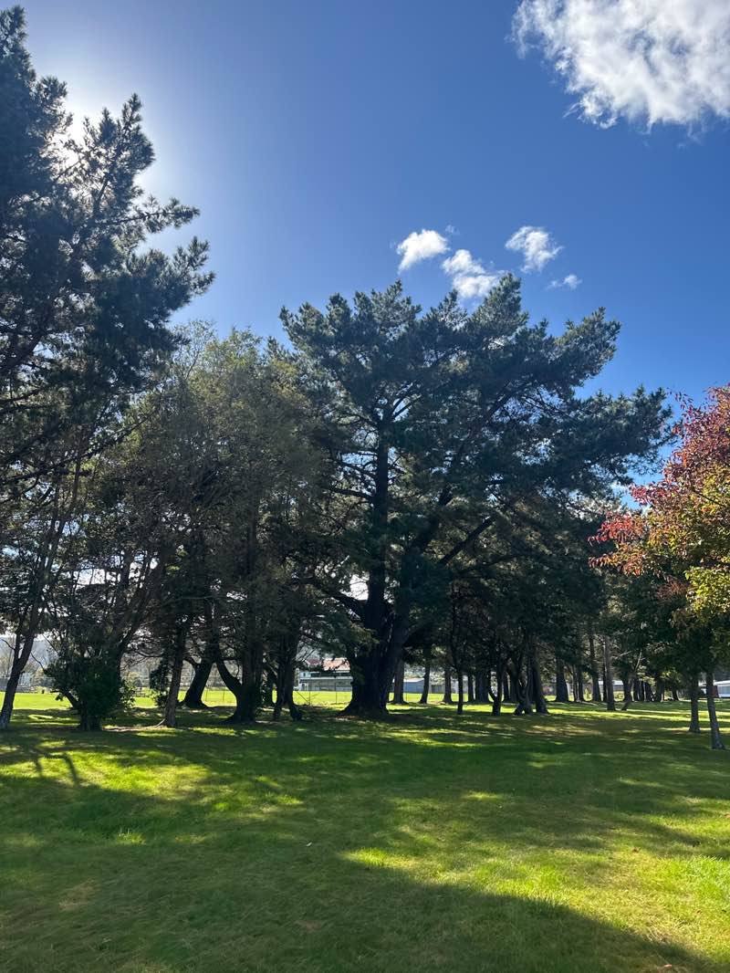walking near me in Frederick Wise Park in autumn