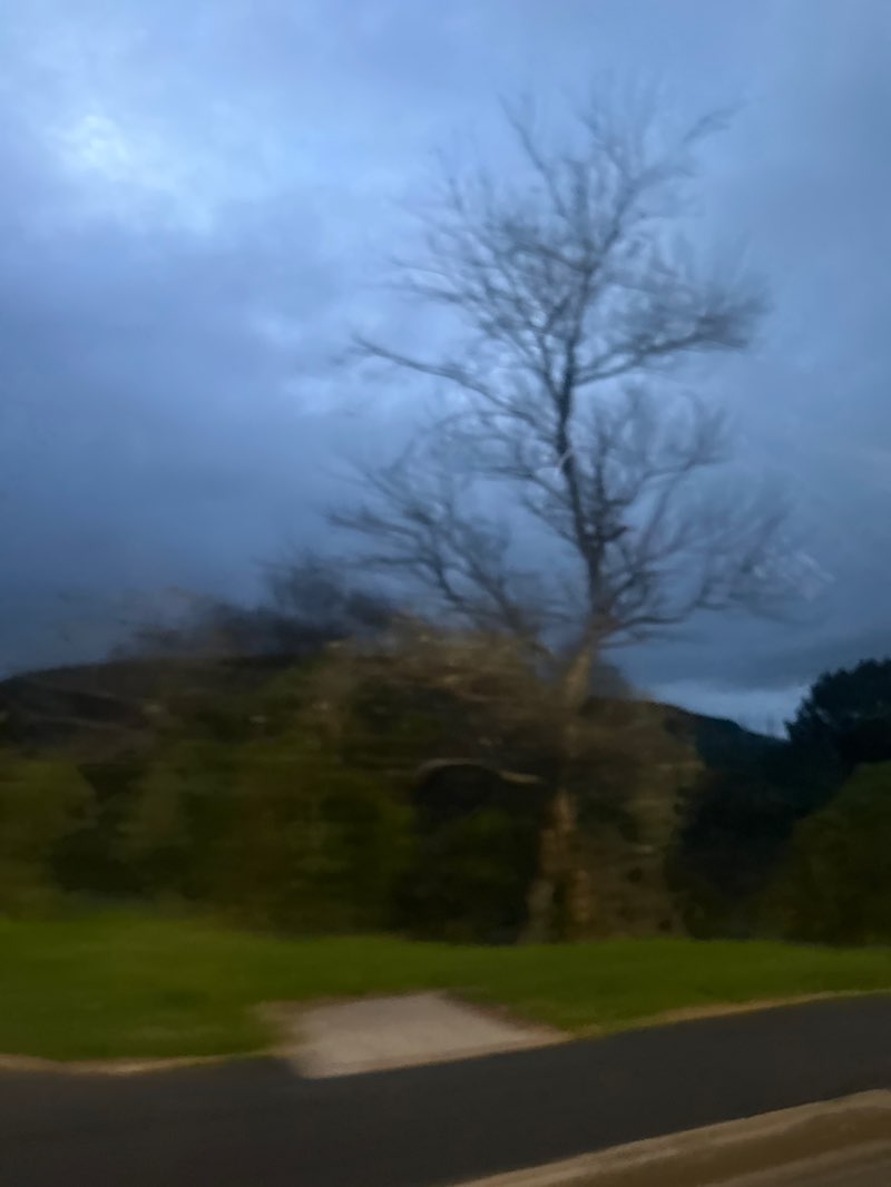 walking near me in Wagon Road Park in autumn