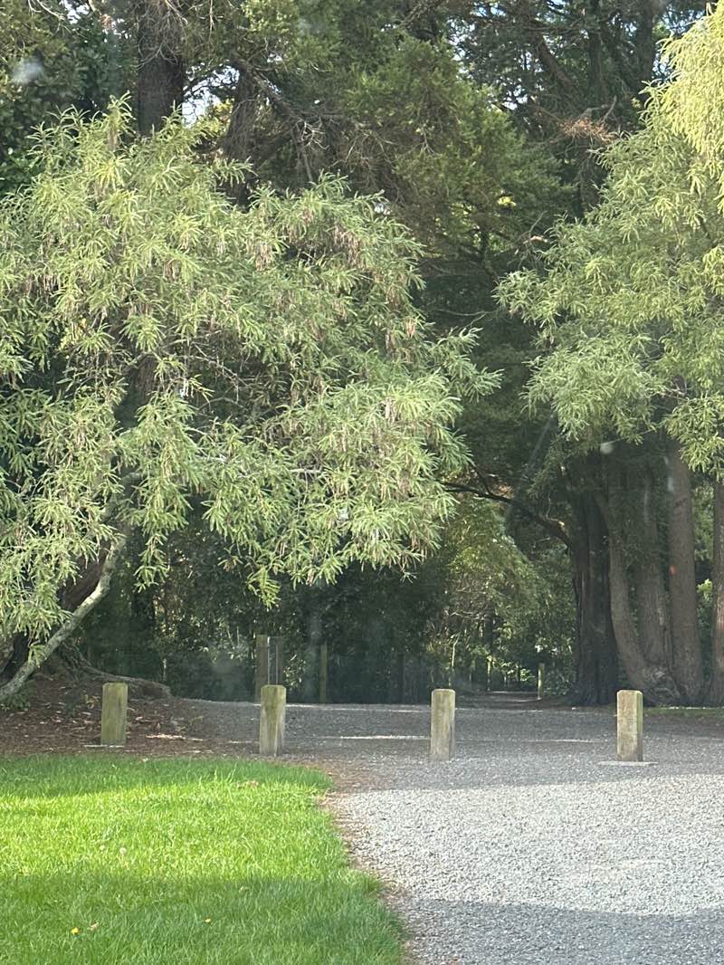 walking near me in Benge Park in autumn