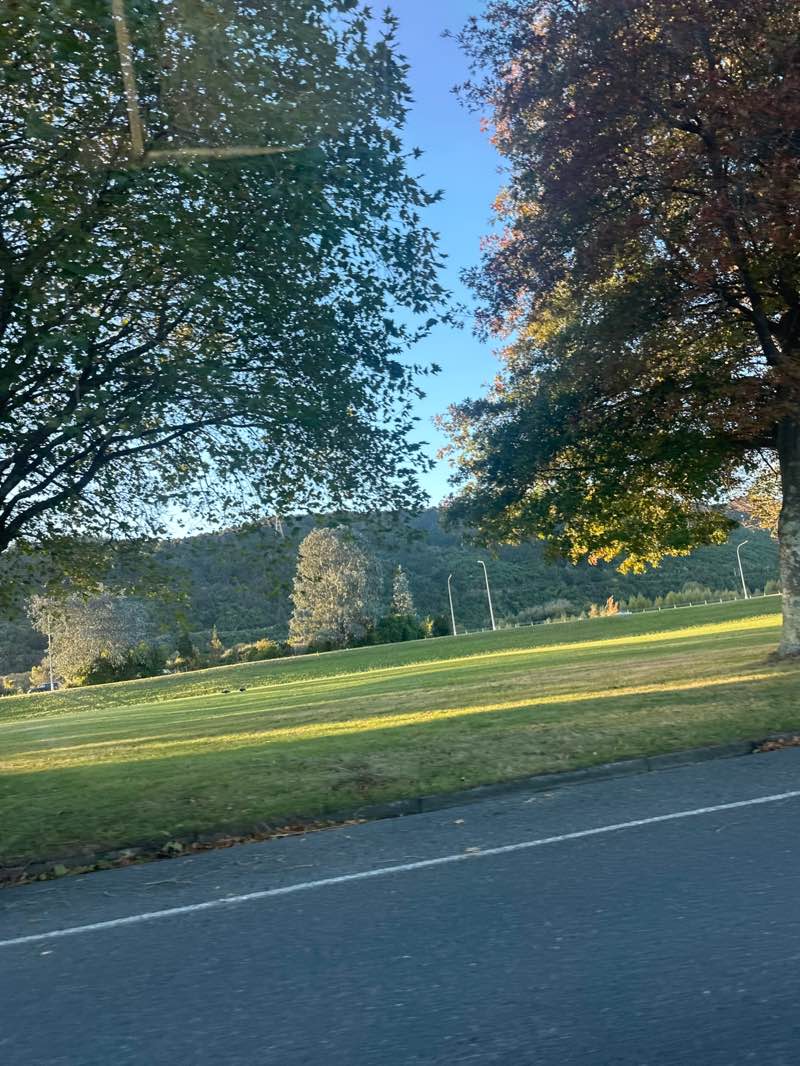 walking near me in Pine Avenue Park in autumn