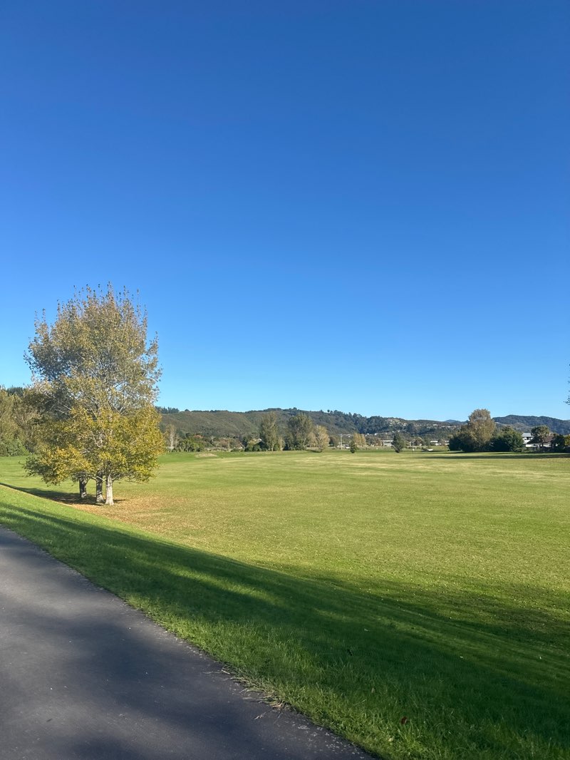 walking near me in Ngāti Tama Park in autumn