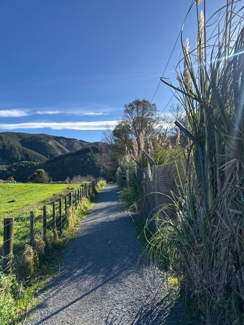walking near me in Heretaunga Park in autumn
