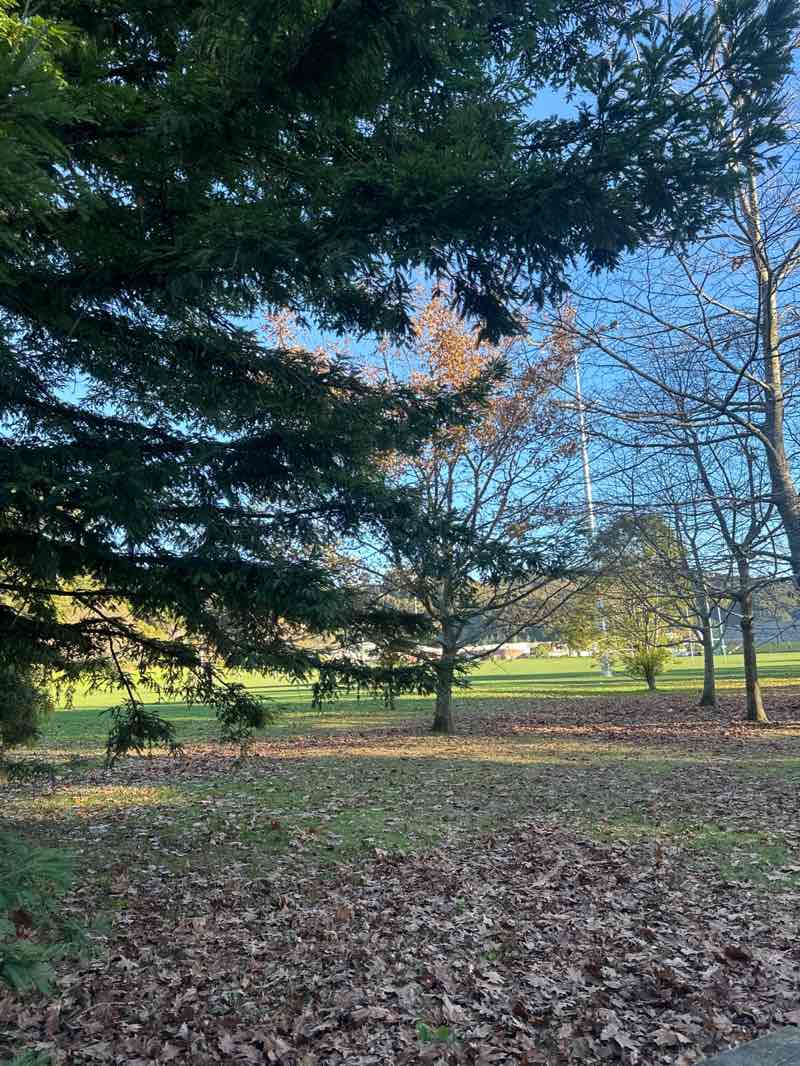 walking near me in Maidstone Park in winter