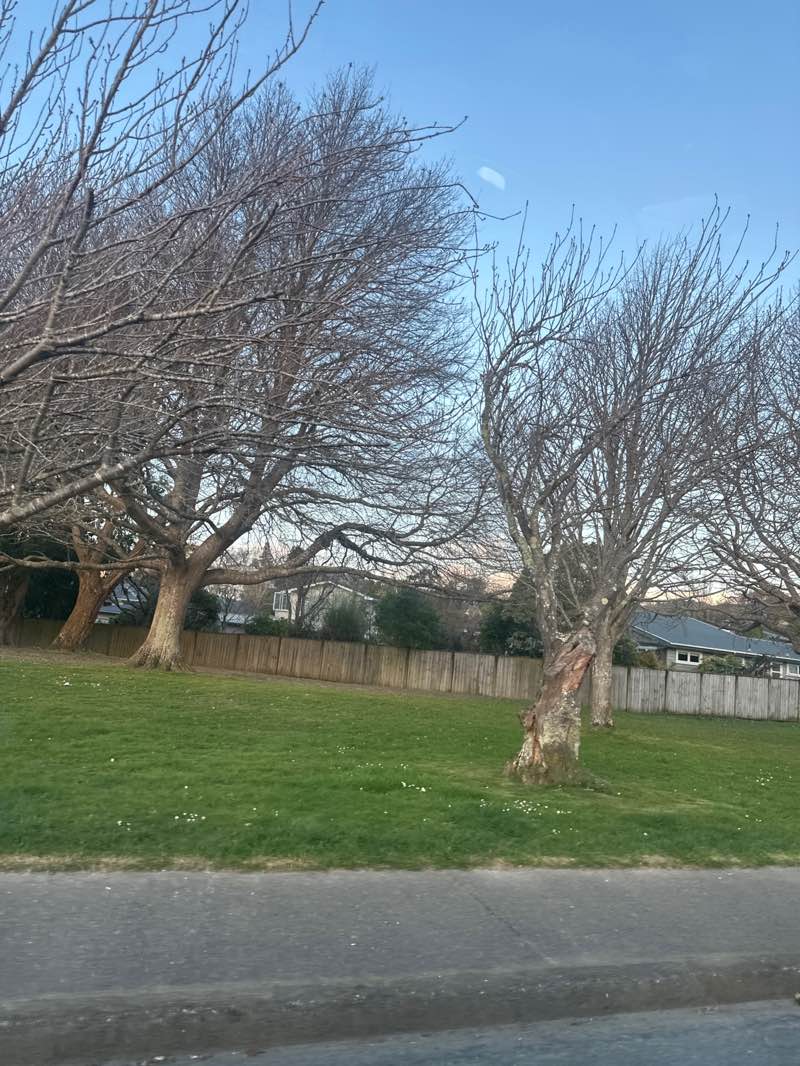 walking near me in Silverstream Park in spring