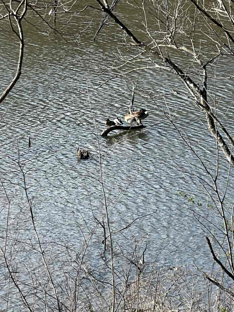 walking near me in Fleming Park in winter