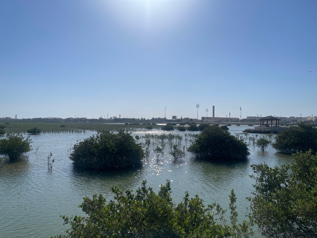walking near me in Dohat Arad Park in autumn