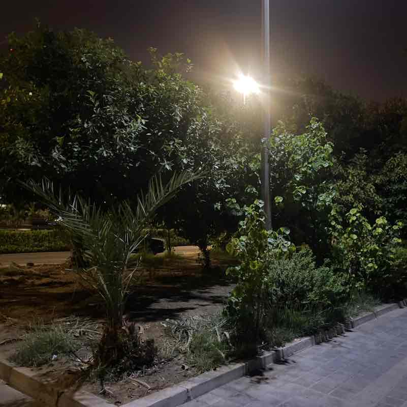 Mohamed Loay Ali post 2