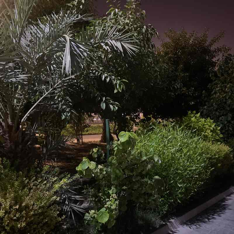 Mohamed Loay Ali post 1